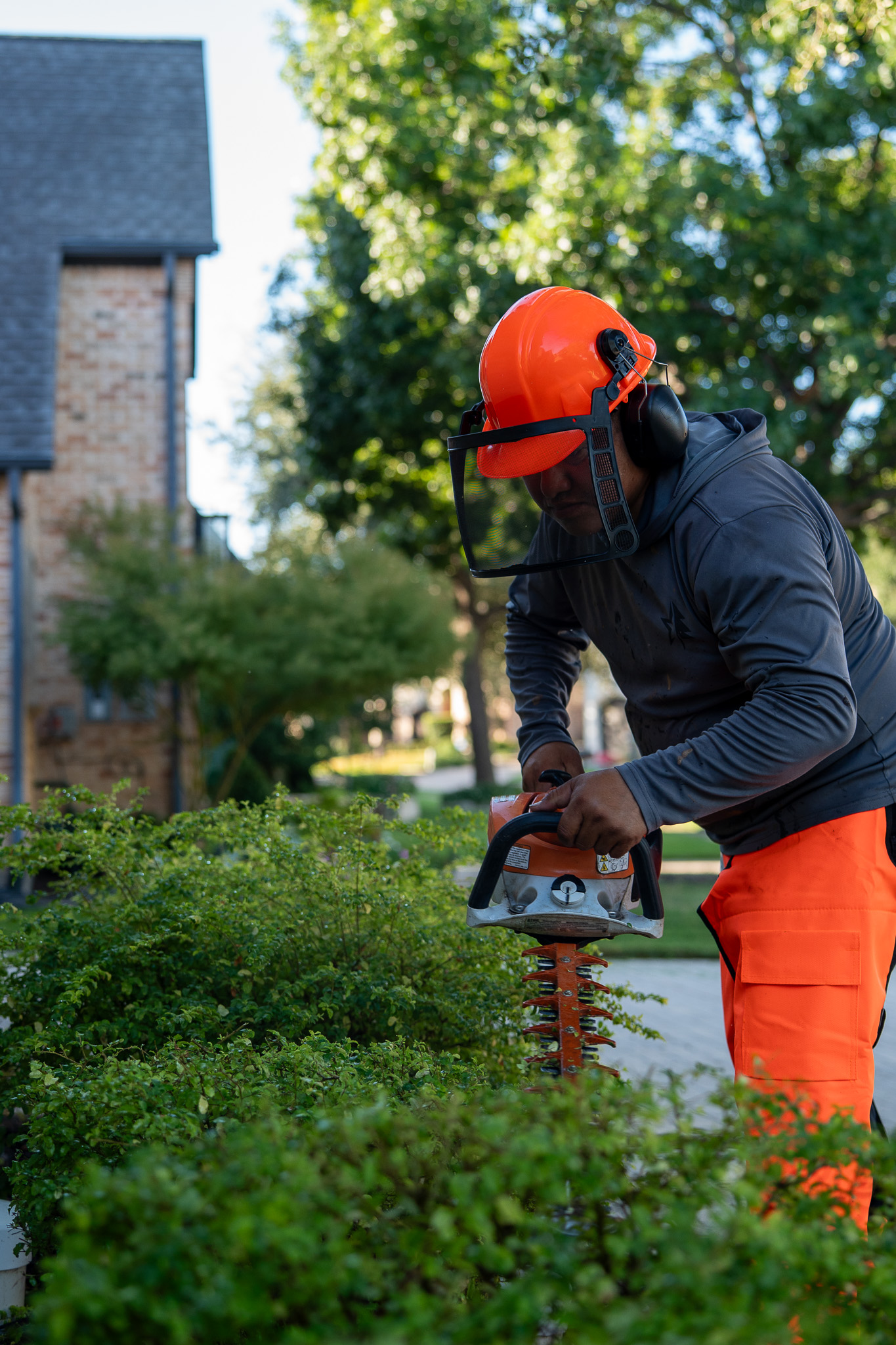 True Star crew trimming shrubs at commercial property